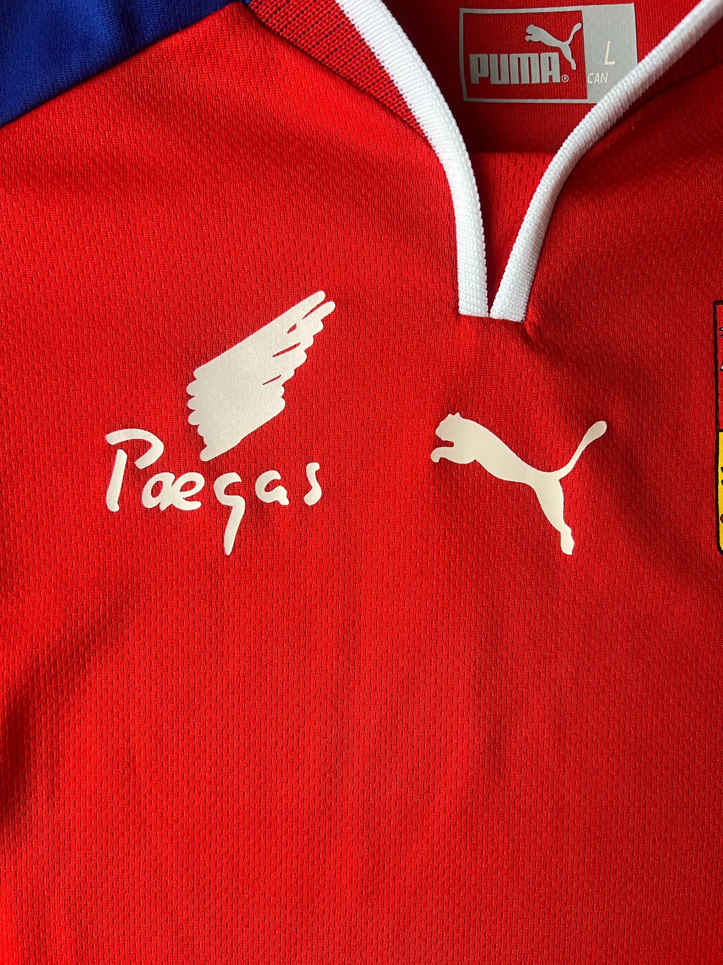 Puma Czechia (Czech Republic) Home Jersey 2000 Large