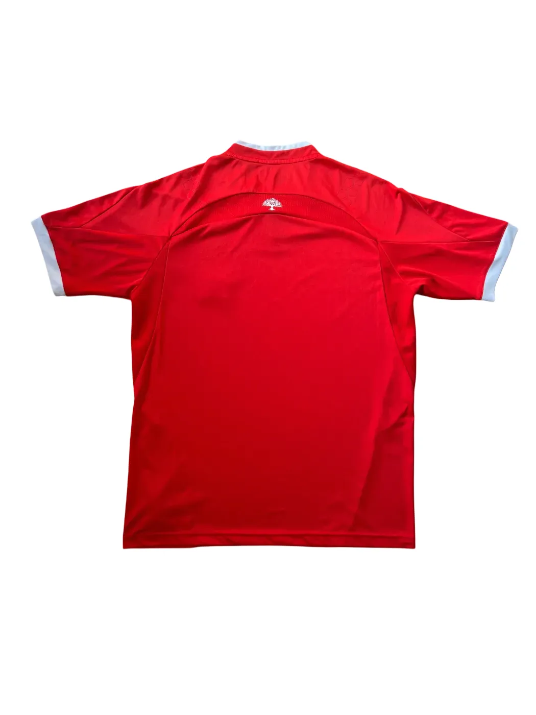 Romai Palestine Home Jersey 2016 Medium