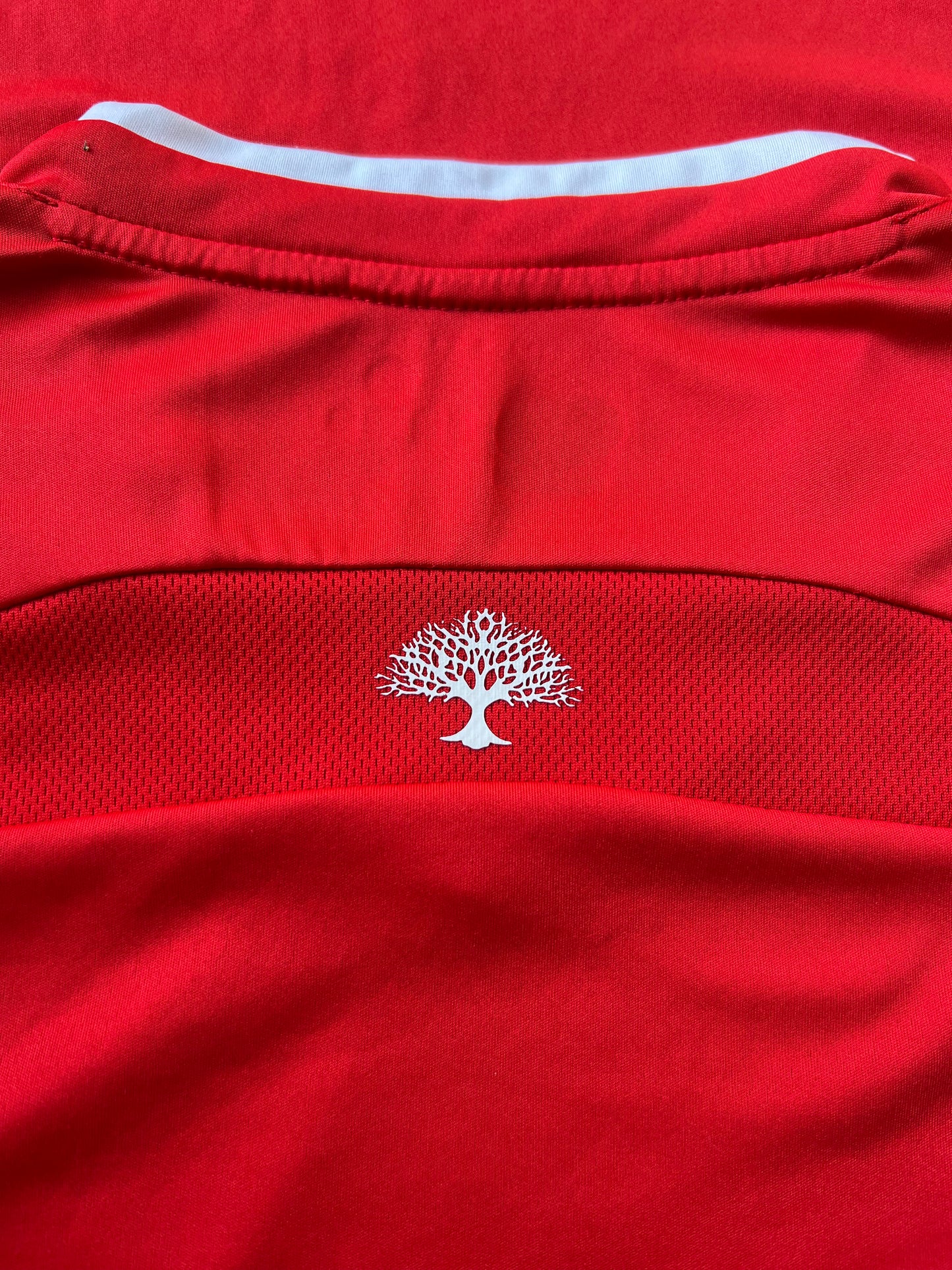 Romai Palestine Home Jersey 2016 Medium